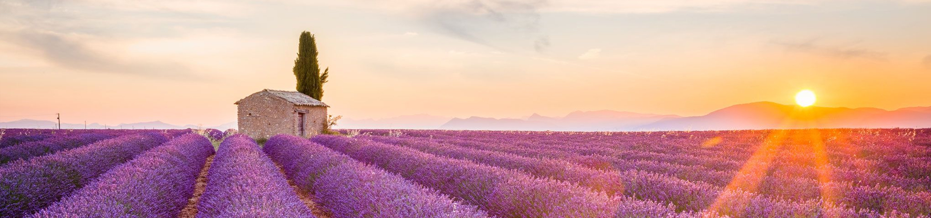Private Chef services in Provence, fr.