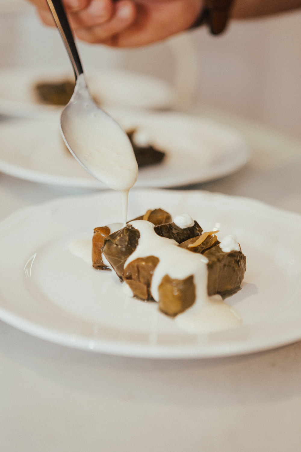 Private Chef in Southland District (7)