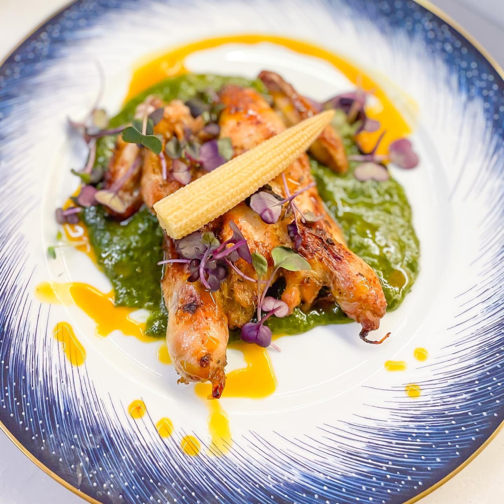 Private Chef in Hohenstein-Ernstthal (7)