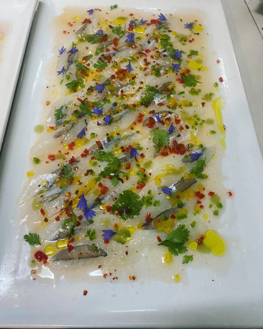 WhatsApp Image 2024-12-08 at 8.59.53 PM (5).jpeg