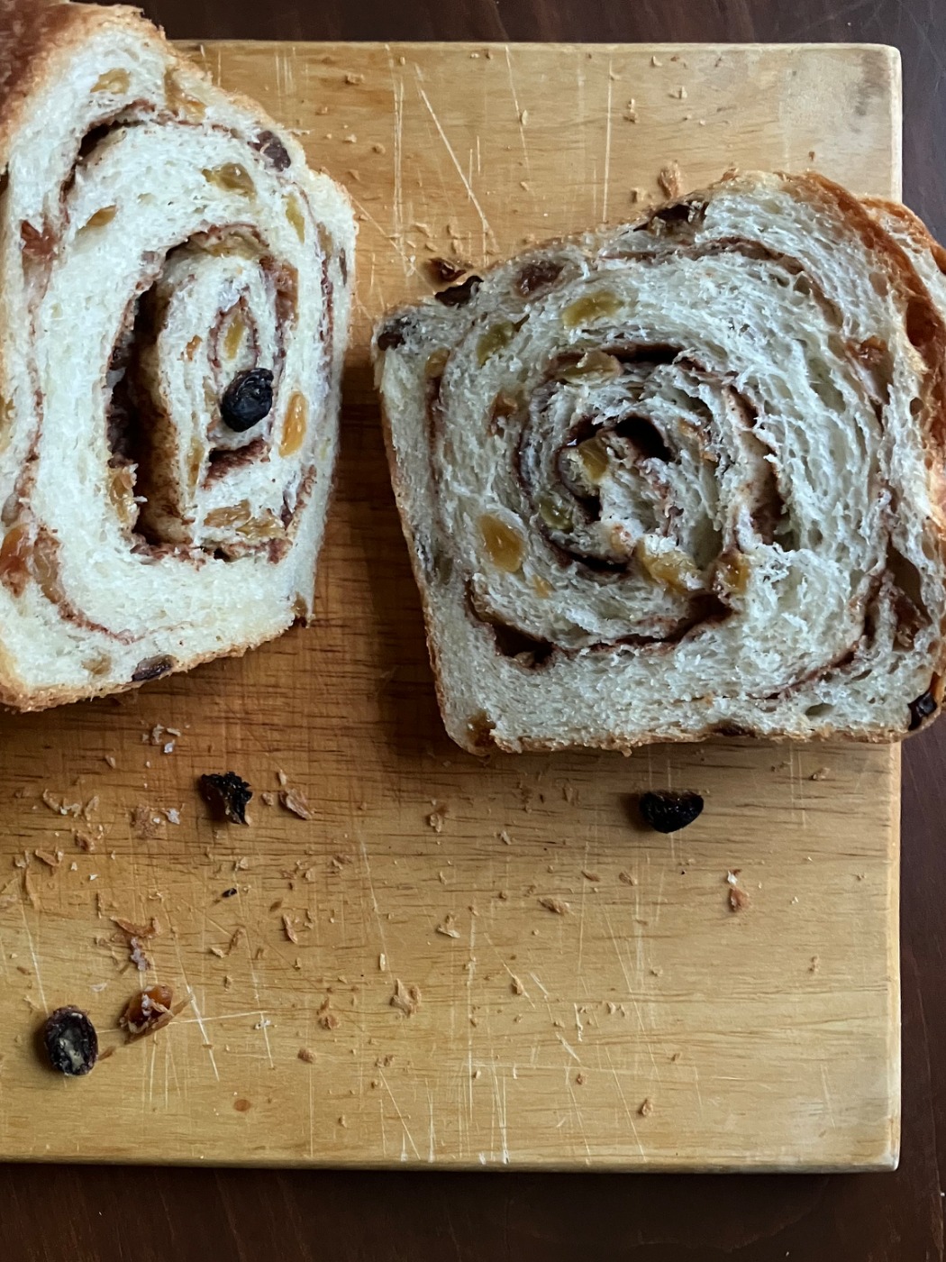 IMG_0556.jpeg IMG_0556.jpeg