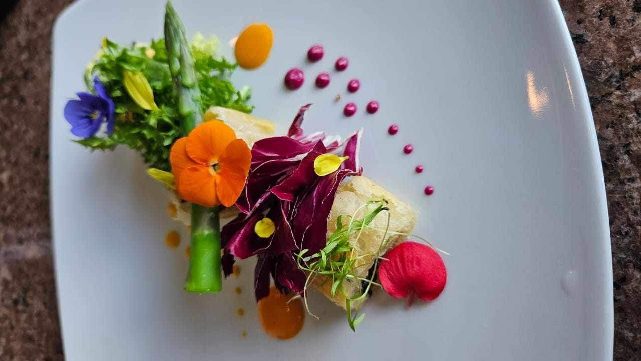 IMG_0248.jpeg IMG_0248.jpeg