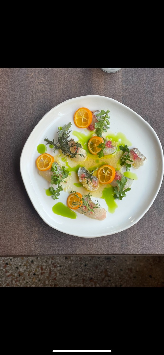 IMG_0230.png IMG_0230.png