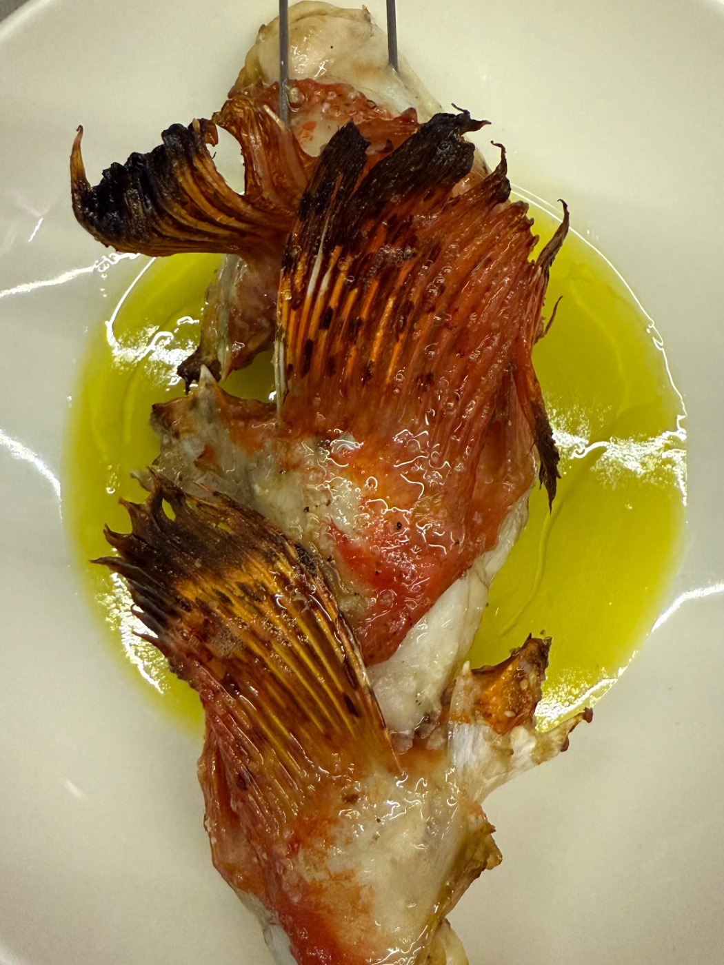 IMG_1428.jpeg IMG_1428.jpeg