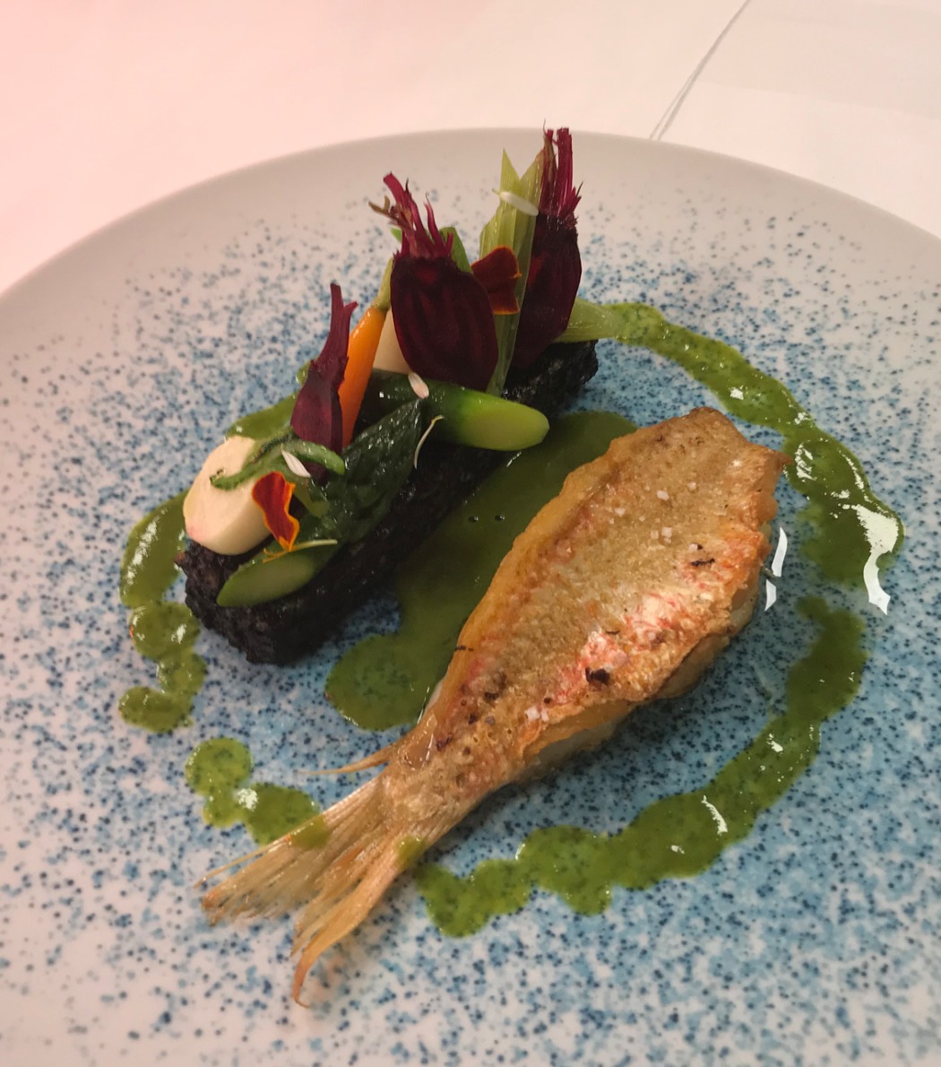 IMG_0407.jpeg IMG_0407.jpeg