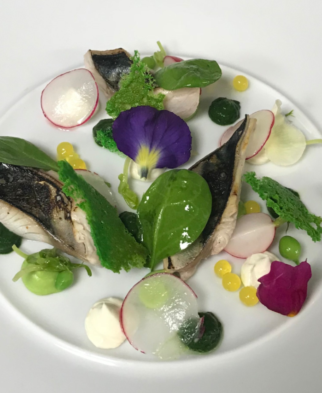 IMG_0422.jpeg IMG_0422.jpeg