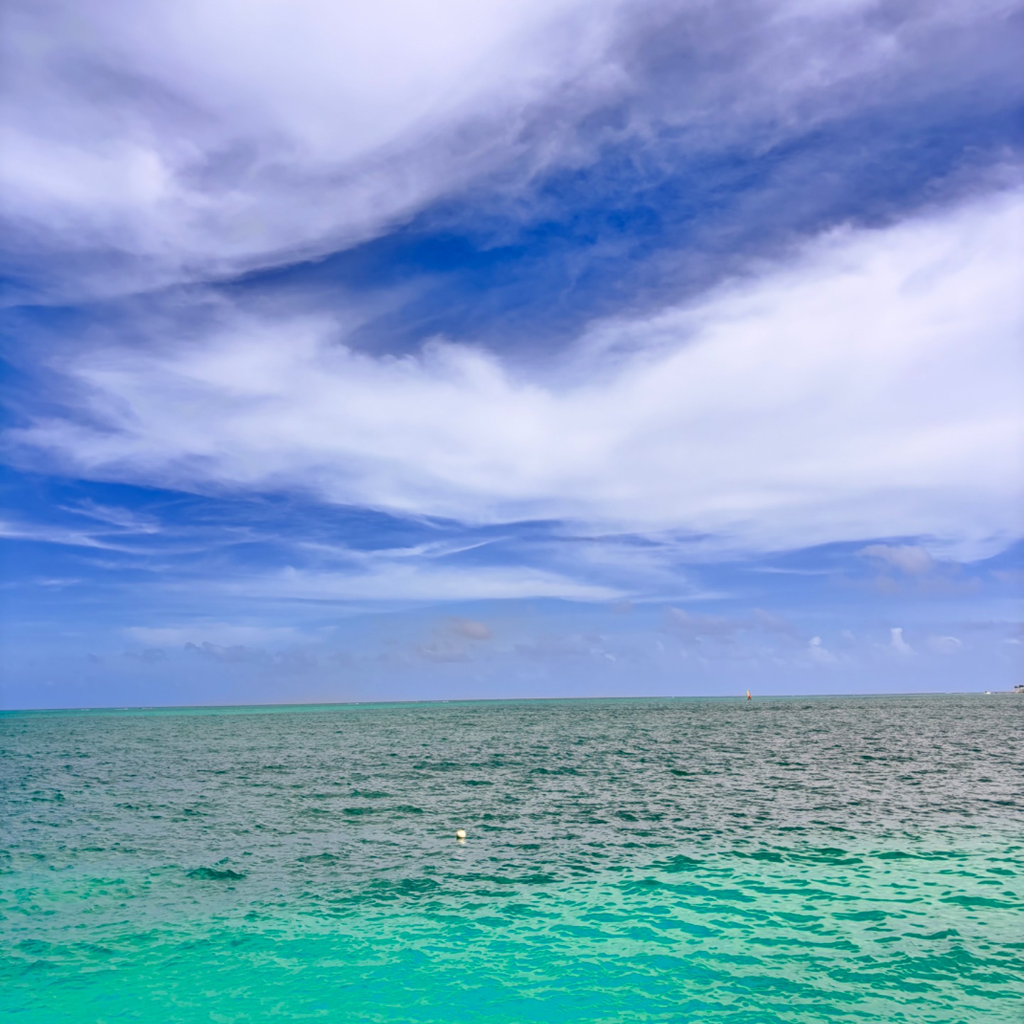 Foto de José Antonio