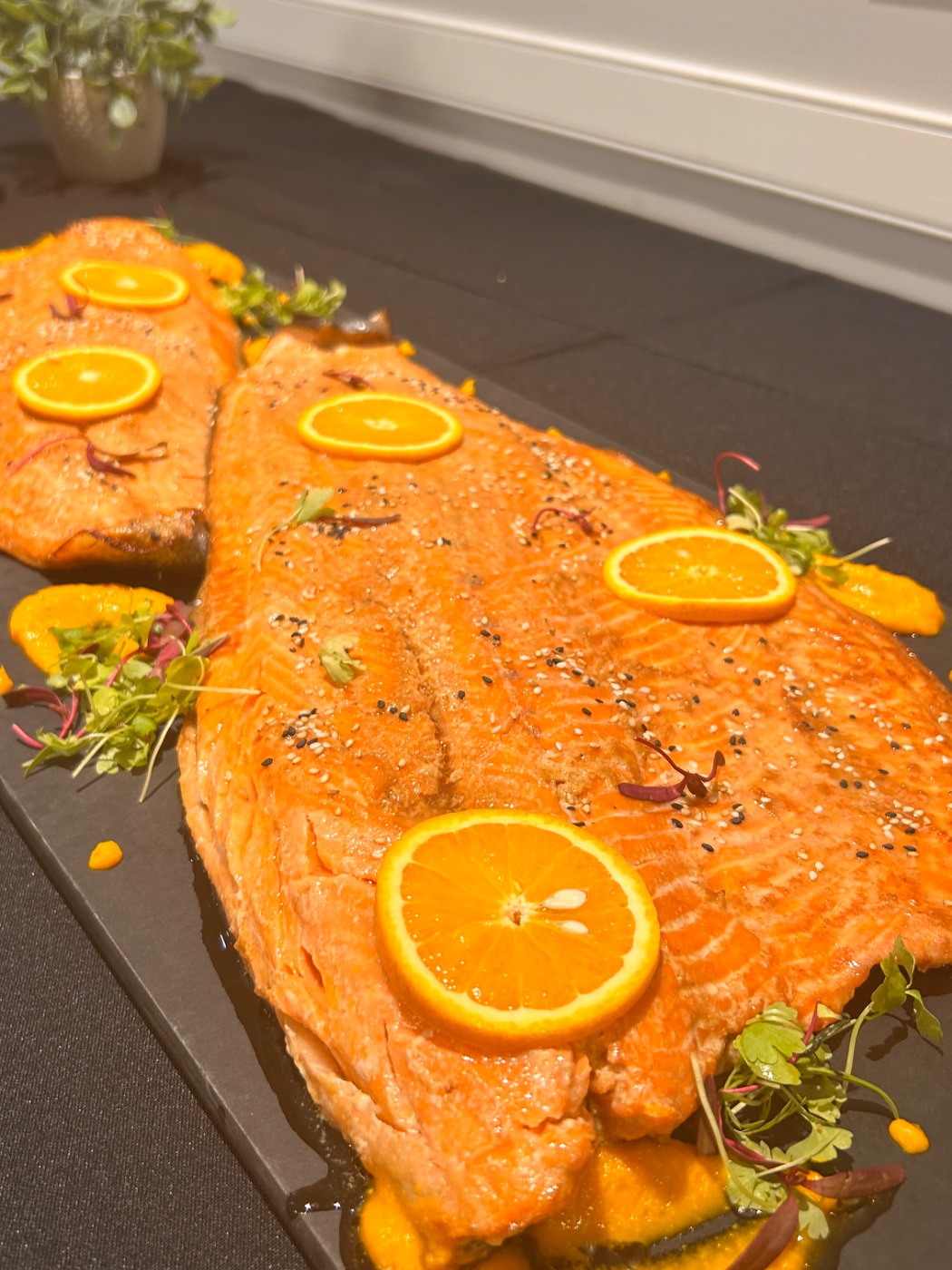 IMG_5746.jpeg IMG_5746.jpeg