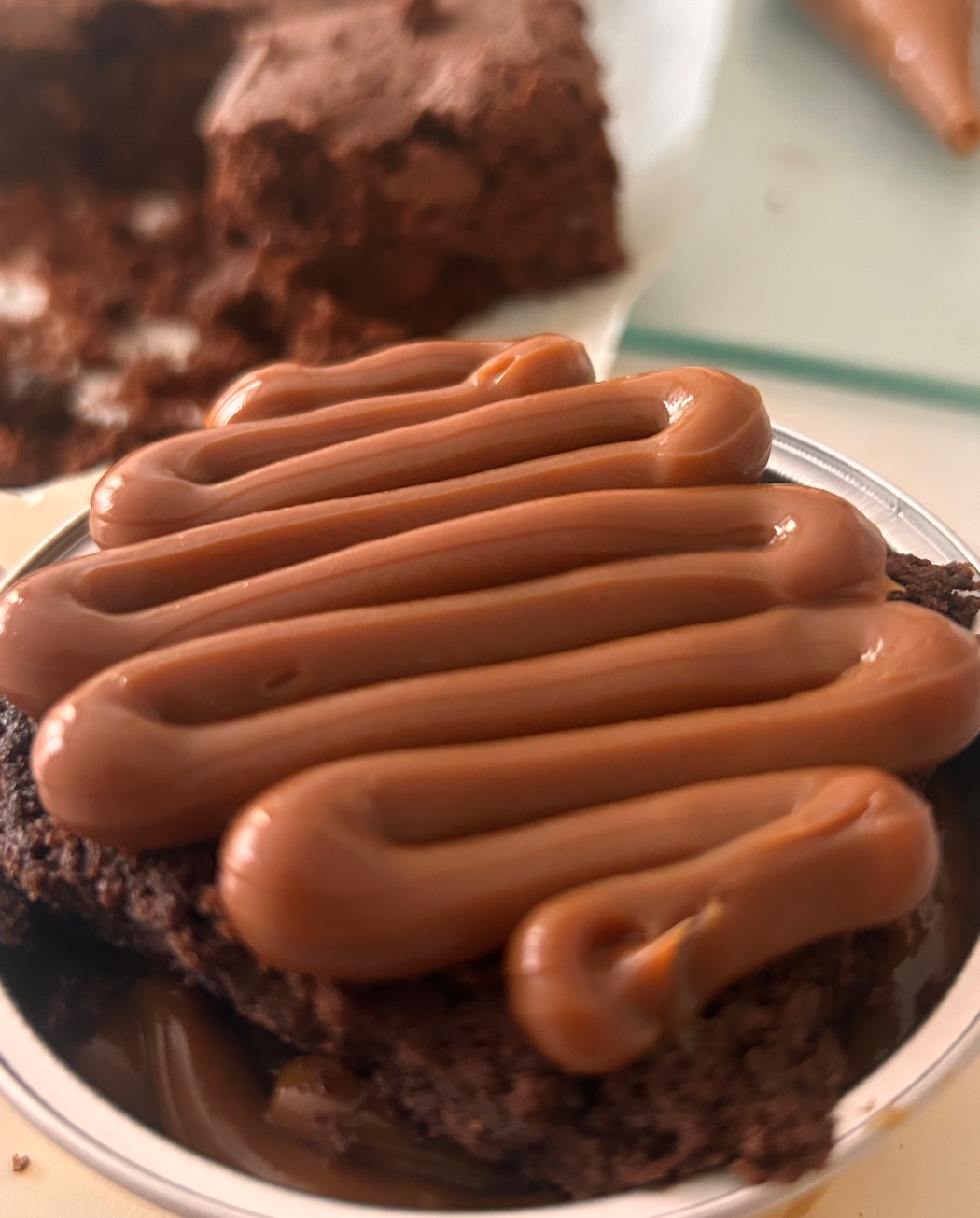 IMG_4869.jpeg IMG_4869.jpeg