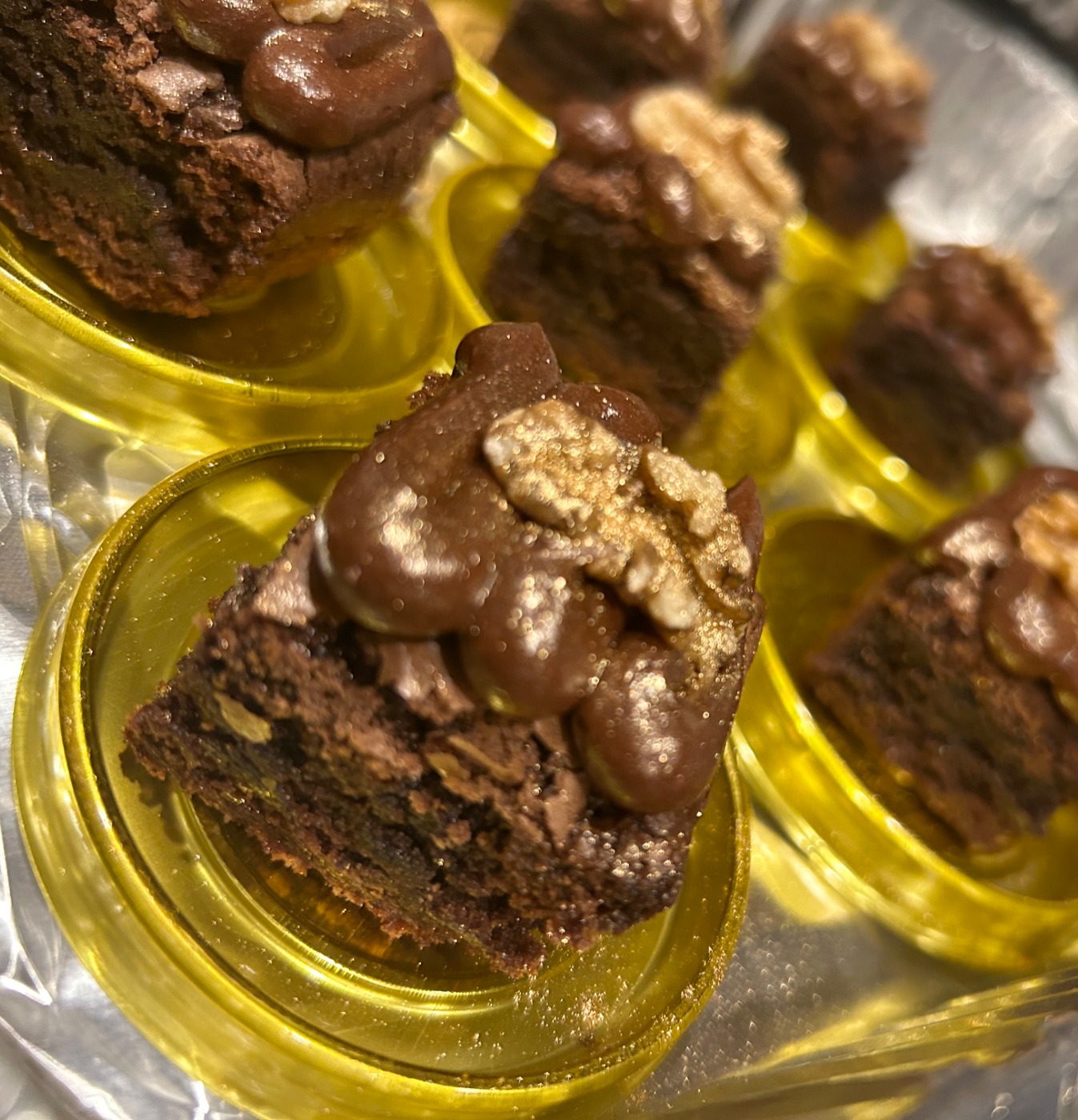 IMG_9490.jpeg IMG_9490.jpeg