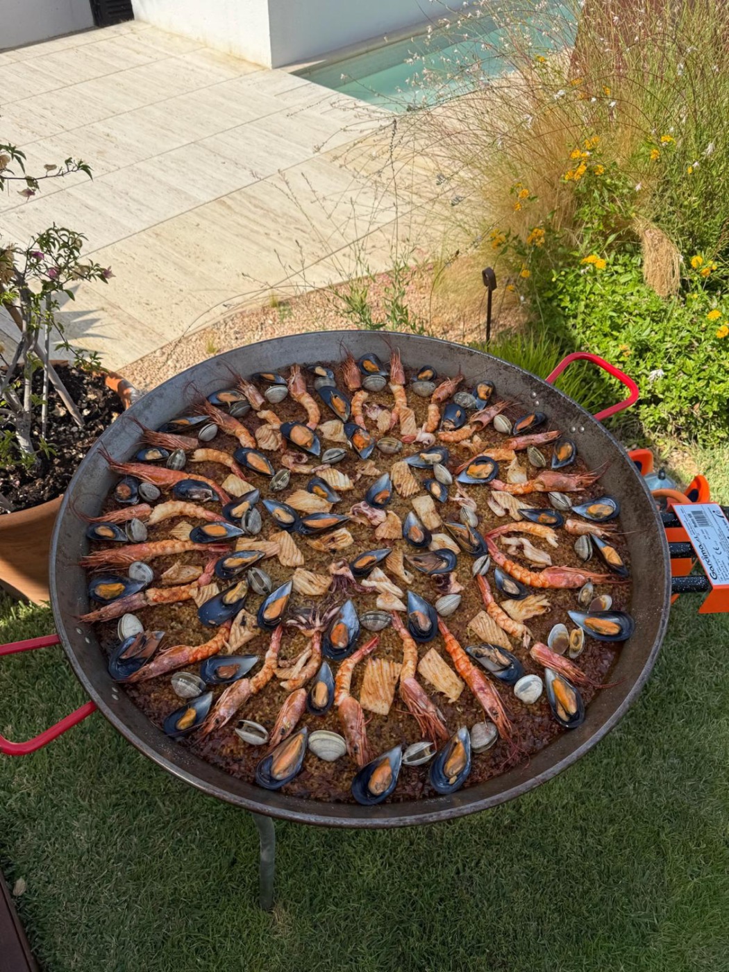 1002813.jpg 1002813.jpg