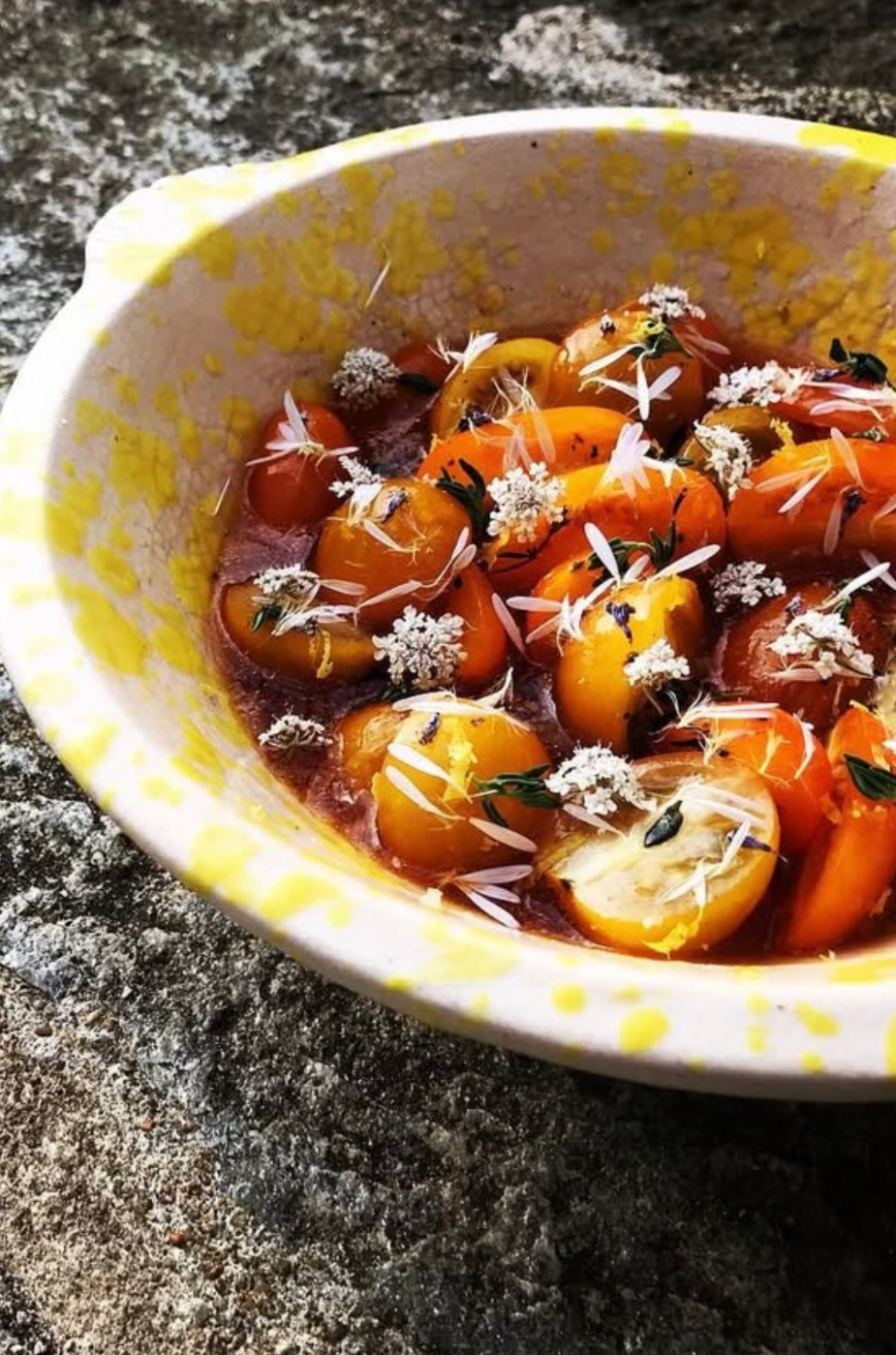 IMG_1024.jpeg IMG_1024.jpeg