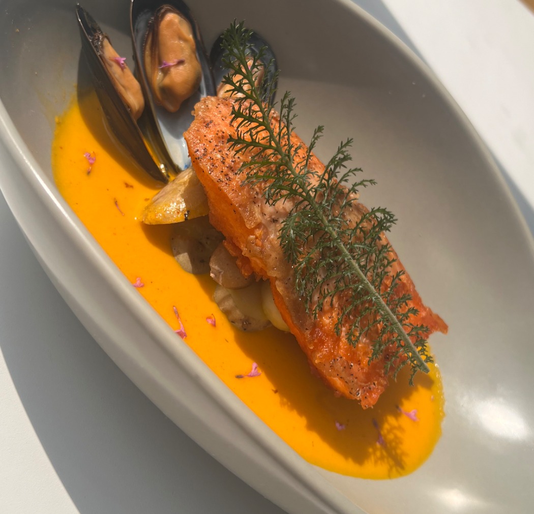 IMG_3936.jpeg IMG_3936.jpeg