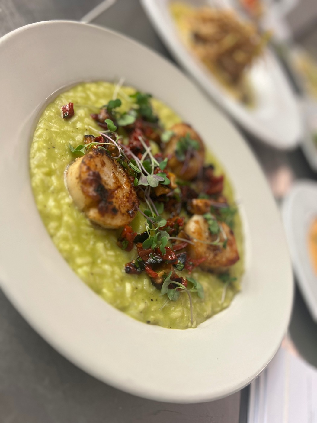 IMG_3122.jpeg IMG_3122.jpeg