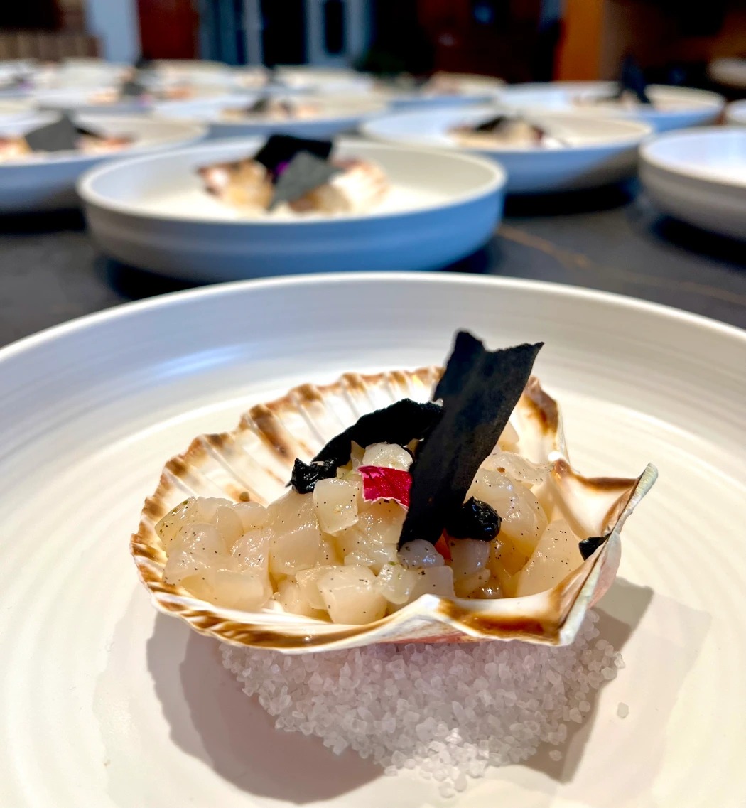 IMG_9547.jpeg IMG_9547.jpeg