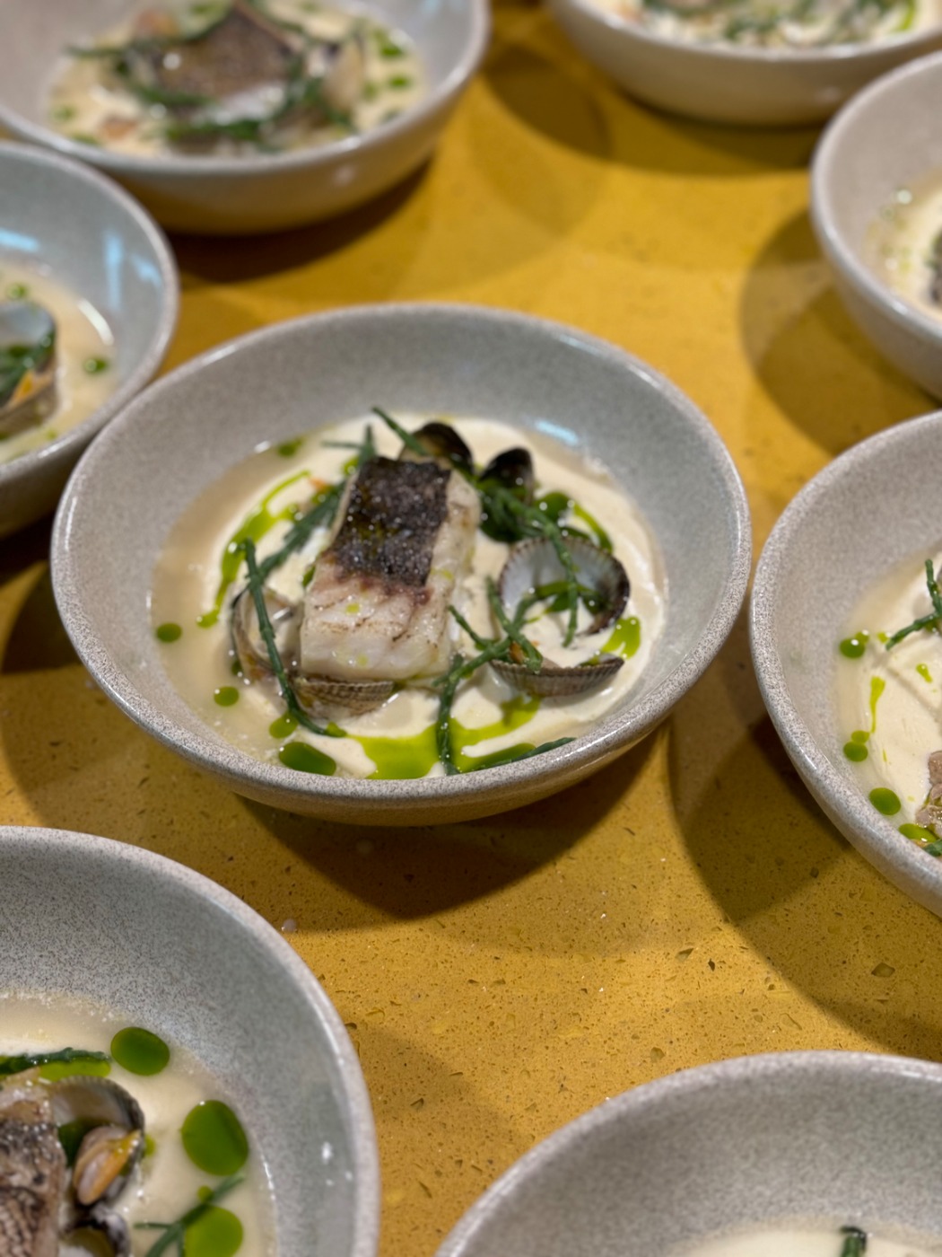 IMG_0576.jpeg IMG_0576.jpeg