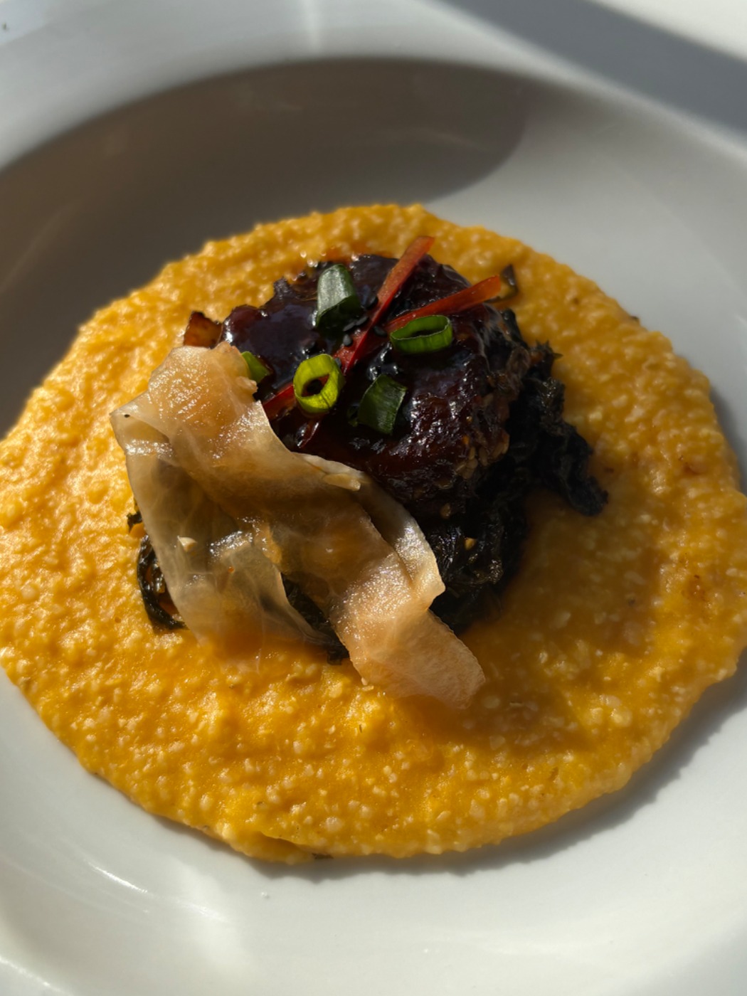 IMG_0781.jpeg IMG_0781.jpeg