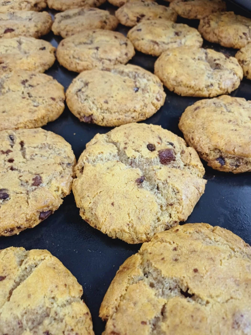 WhatsApp Image 2025-07-06 at 17.43.12.jpeg