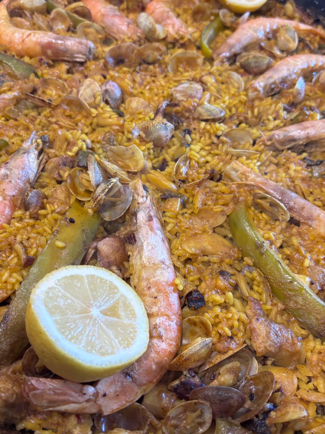 IMG_9087.jpeg IMG_9087.jpeg