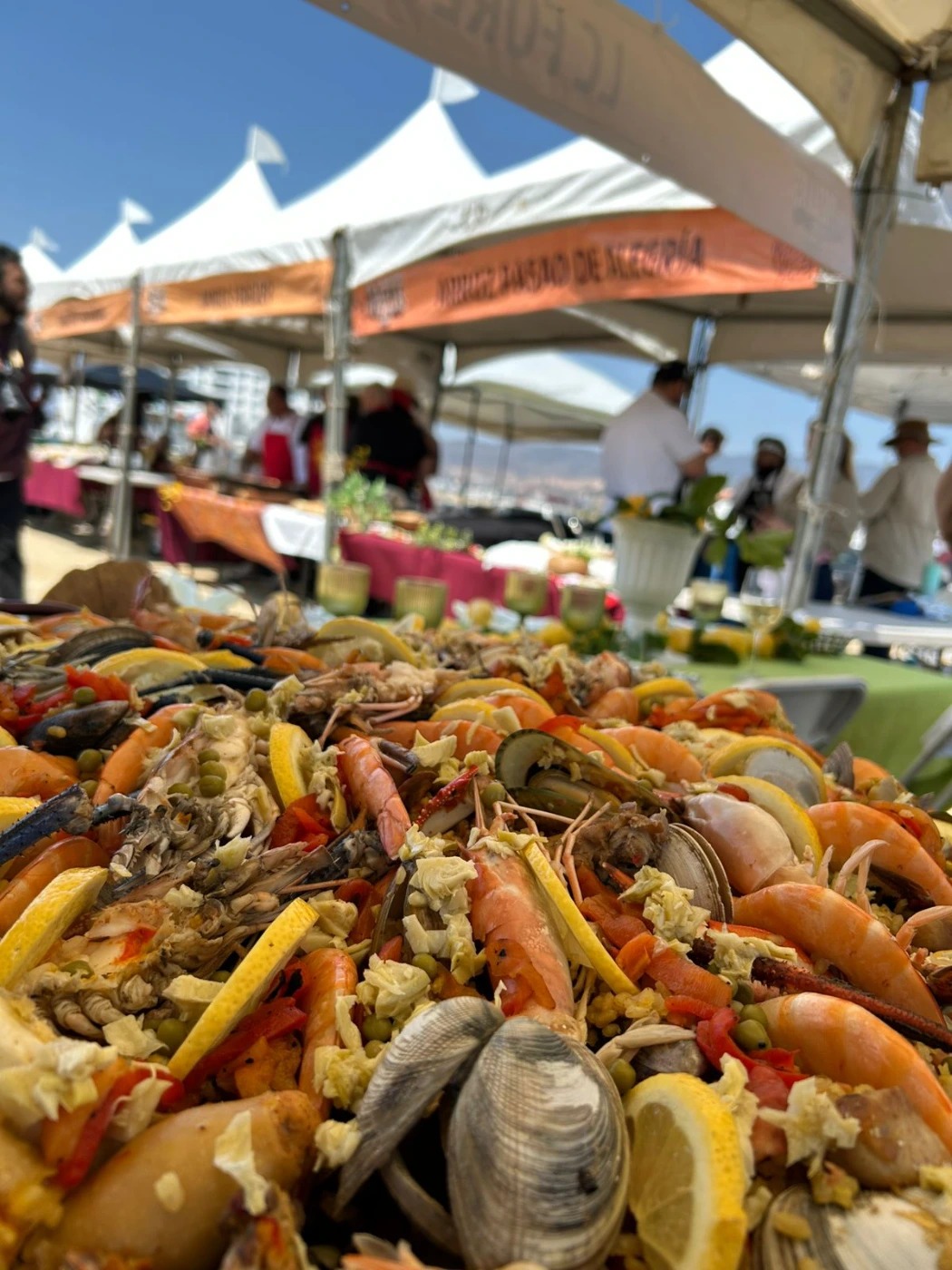 WhatsApp Image 2025-07-07 at 12.01.19 PM.jpeg