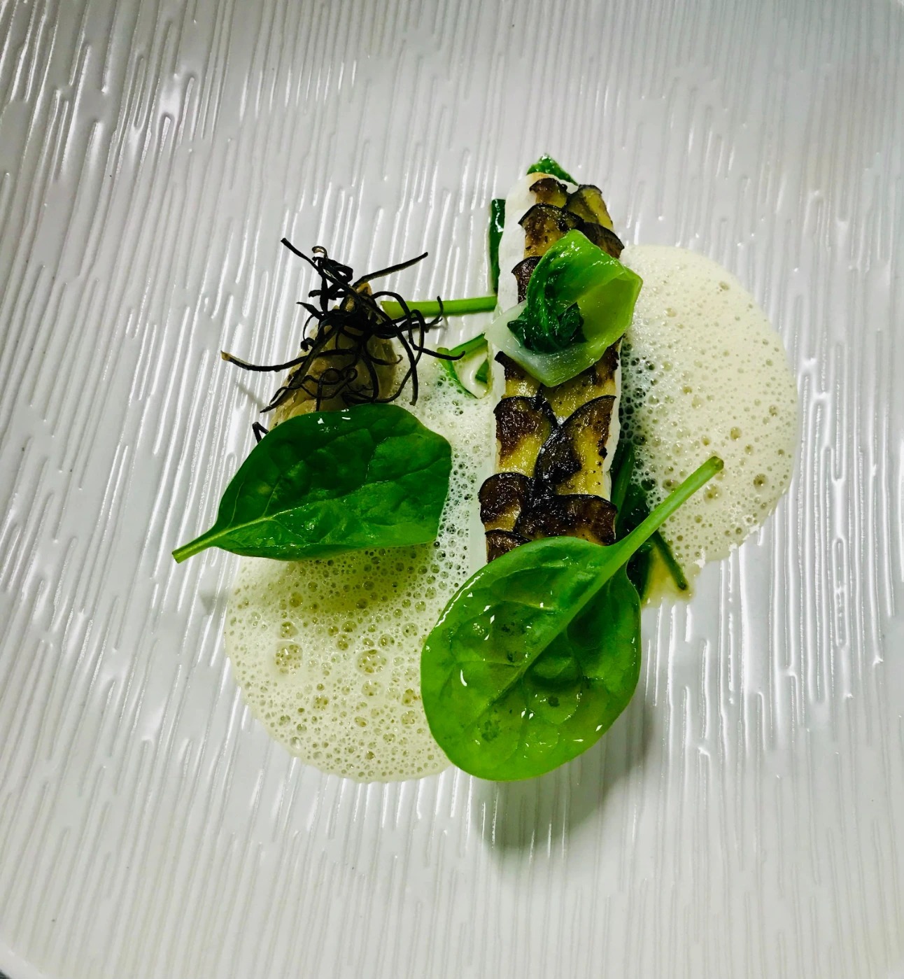 1004172.jpg 1004172.jpg