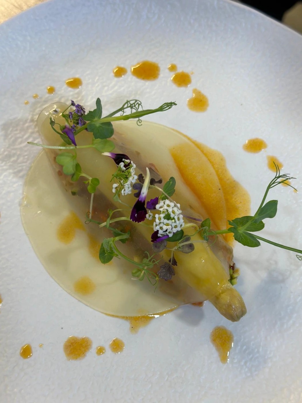 Velo con esparrago a baja temperarura, con ensaladilla iberica de oreja de cerdo.jpeg