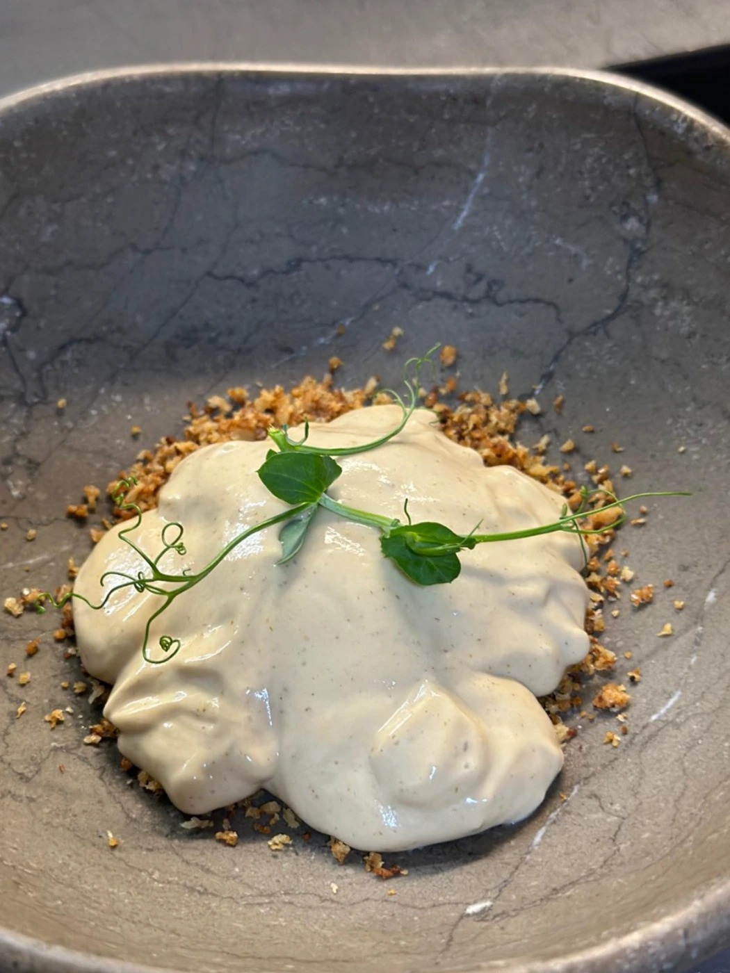 Huevo 64-34 con espuma de ceps y parmesano, sobre migas de panco y mantequilla de cebolla.jpeg