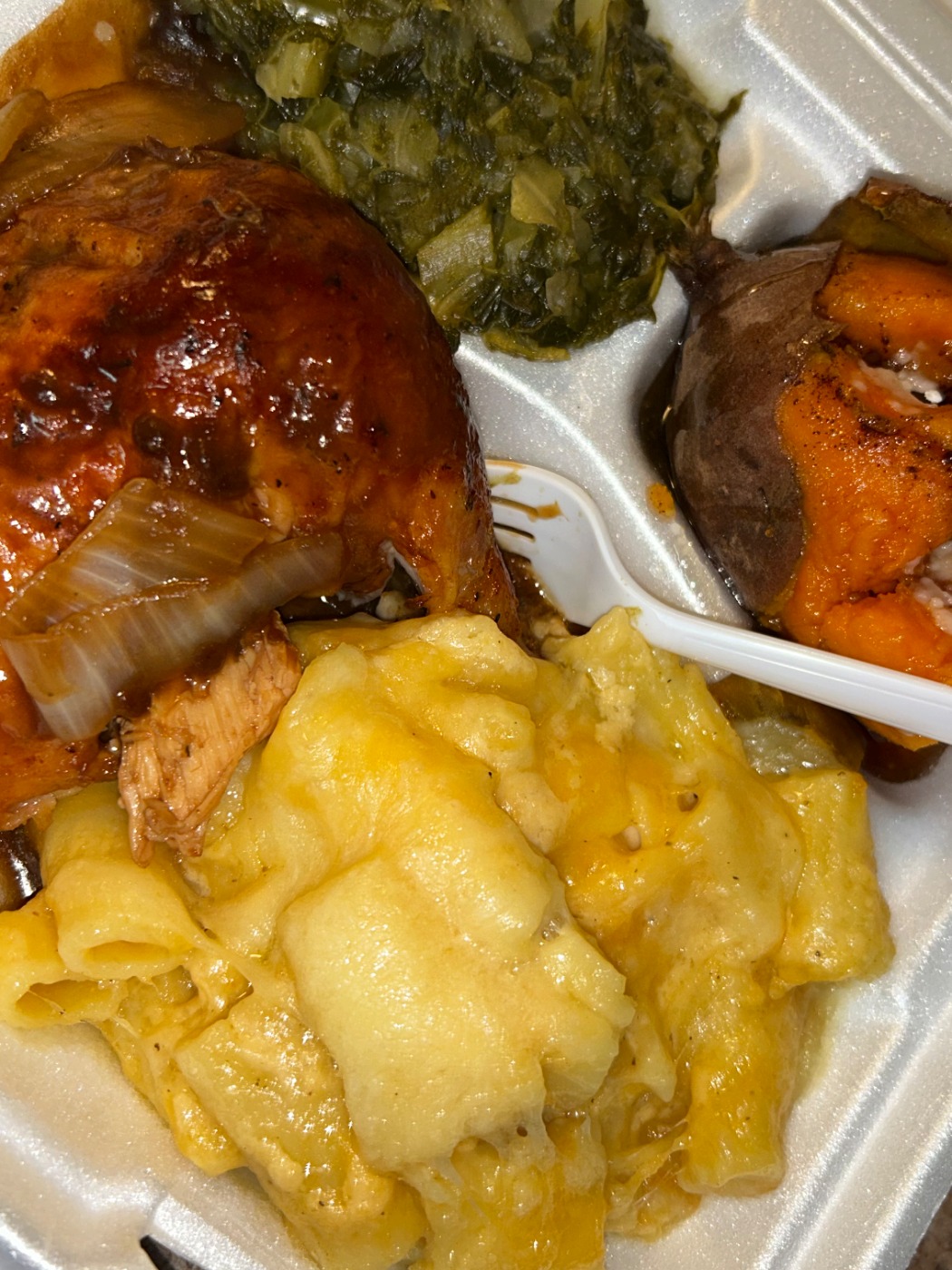 IMG_2074.jpeg IMG_2074.jpeg