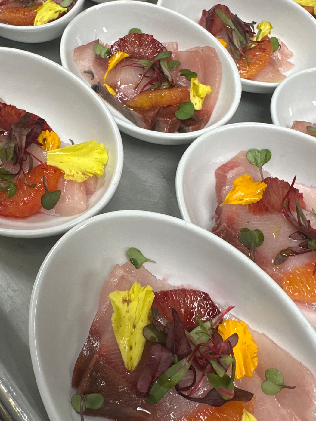 IMG_4173.jpeg IMG_4173.jpeg