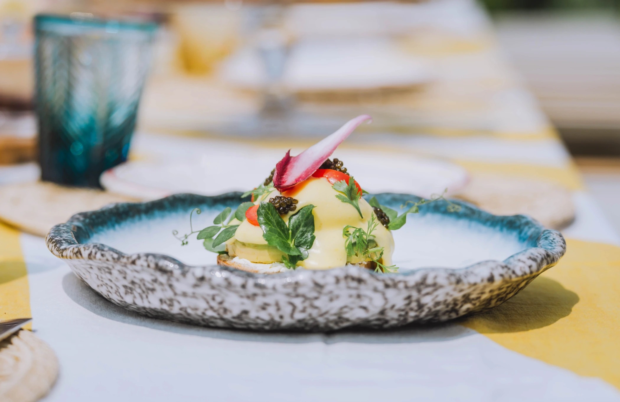 YRN00095.jpg YRN00095.jpg