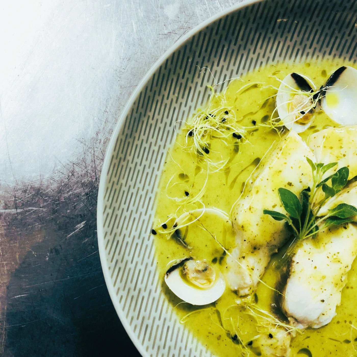 IMG_5897.HEIC.jpg IMG_5897.HEIC.jpg