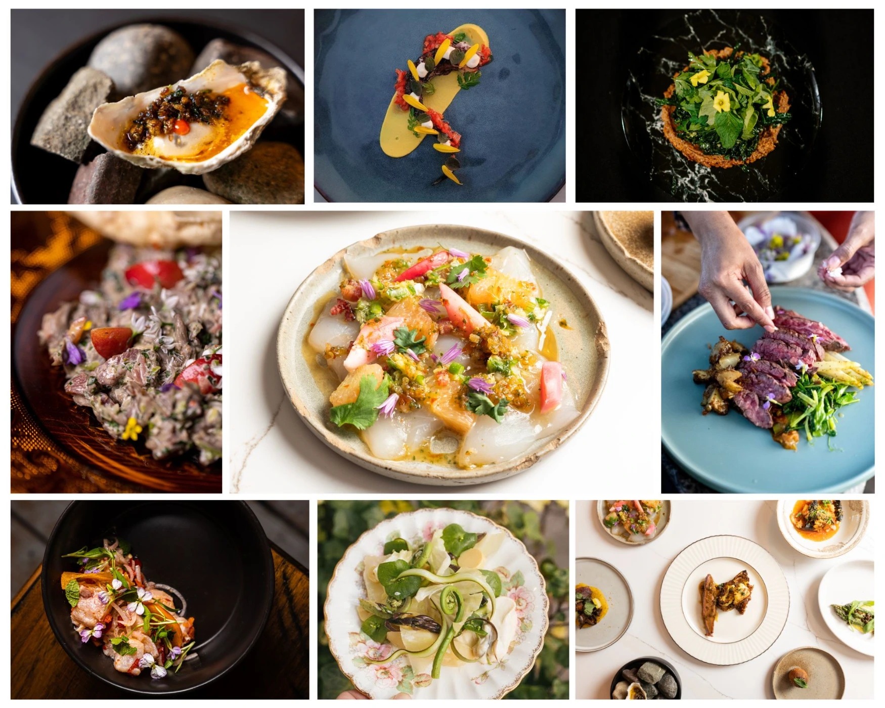 Portfolio .zip - 1.jpeg Portfolio .zip - 1.jpeg