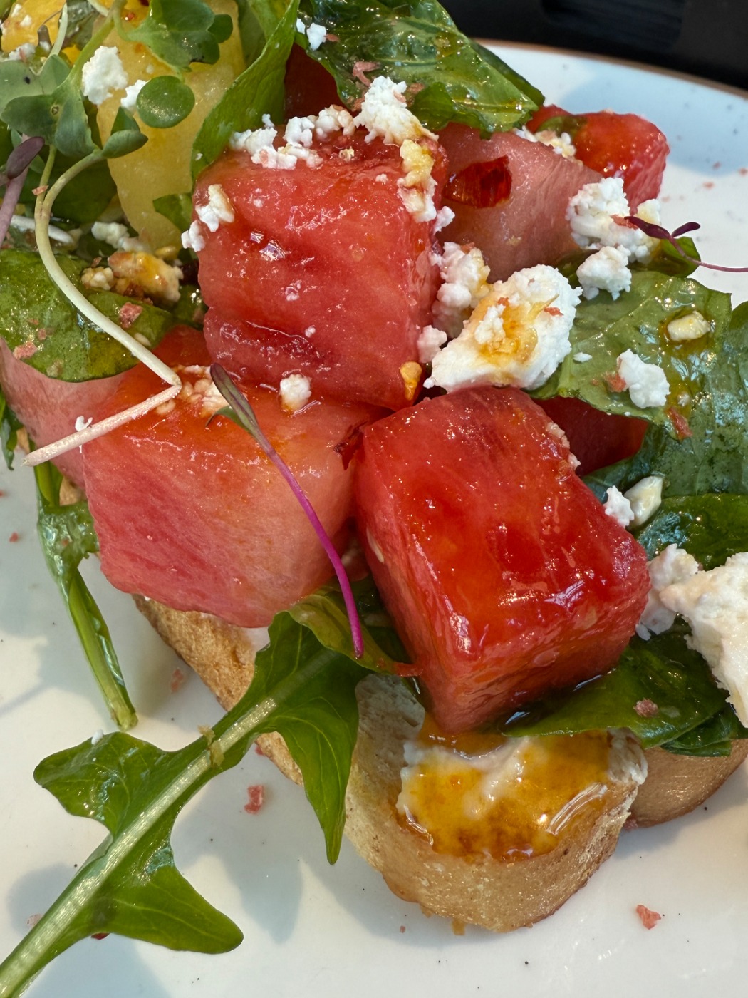 IMG_5512.jpeg IMG_5512.jpeg