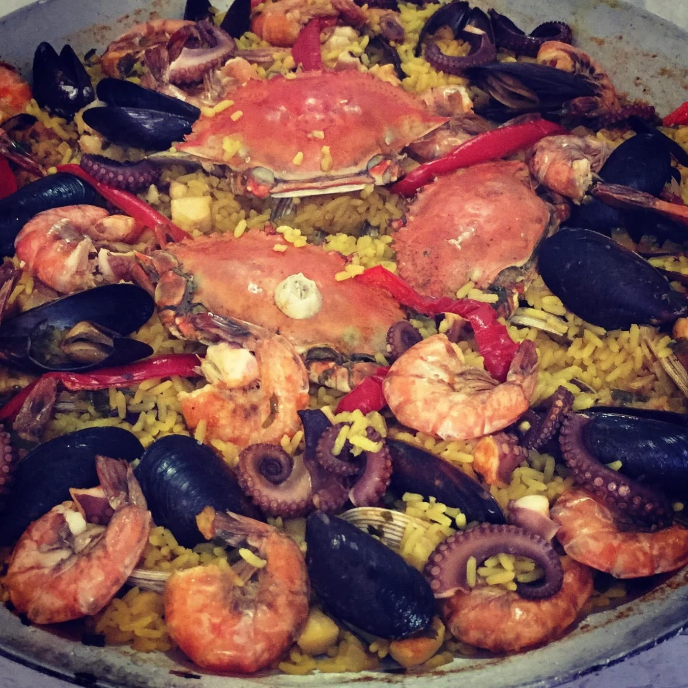 WhatsApp Image 2025-07-13 at 11.33.07 AM.jpeg