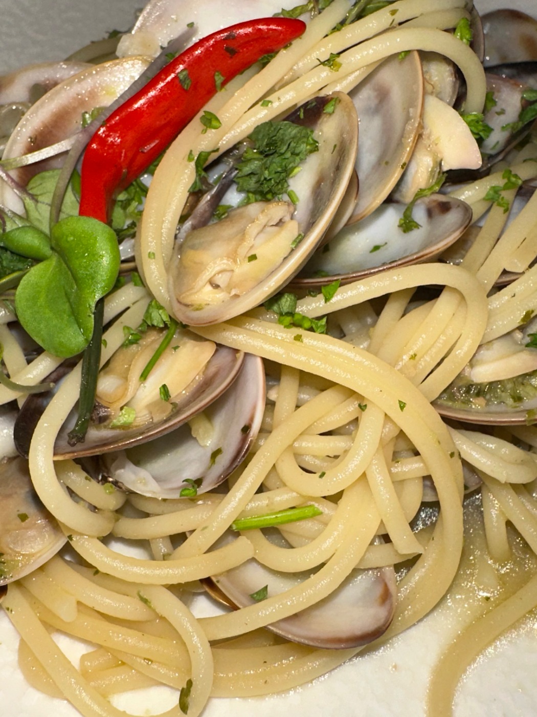 IMG_0344.jpeg IMG_0344.jpeg