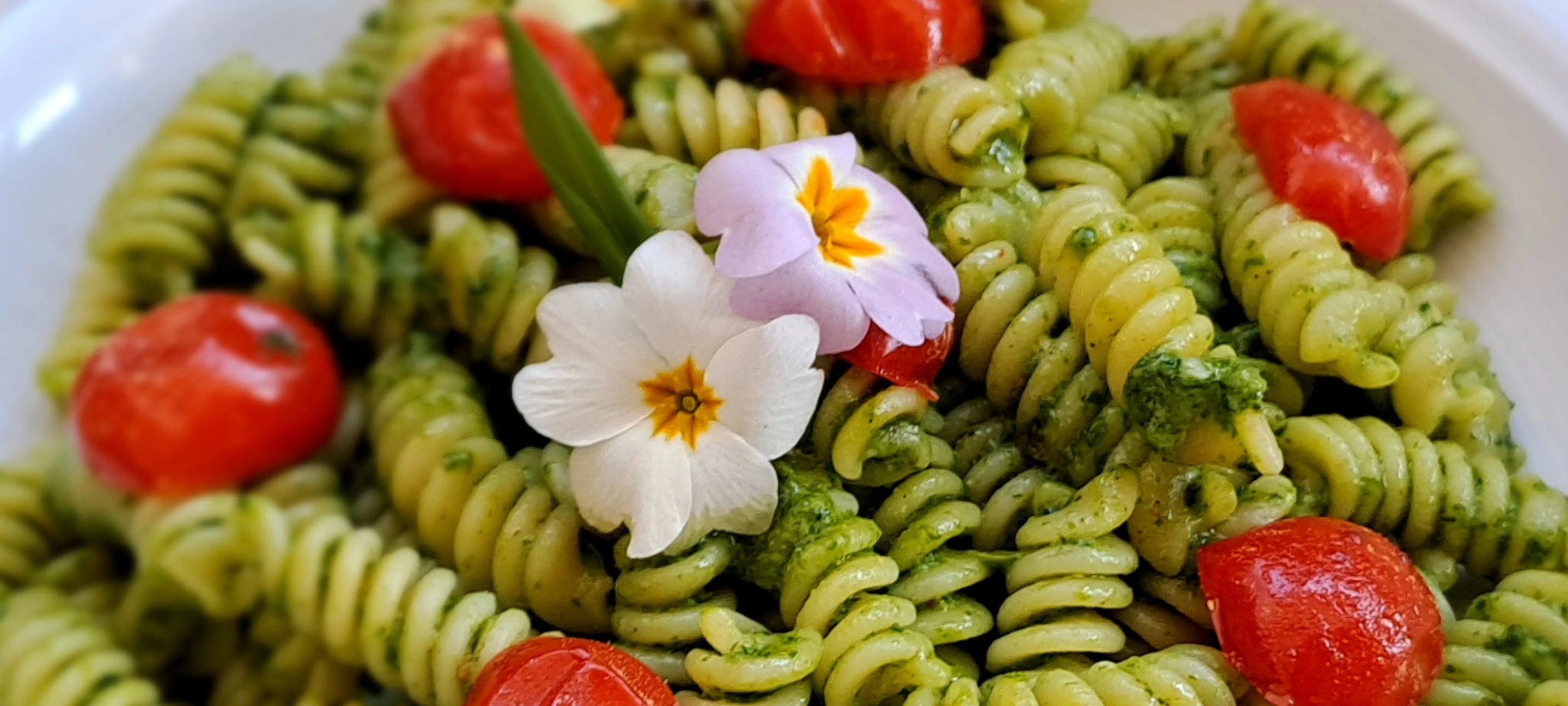 20250319_144522.jpg 20250319_144522.jpg