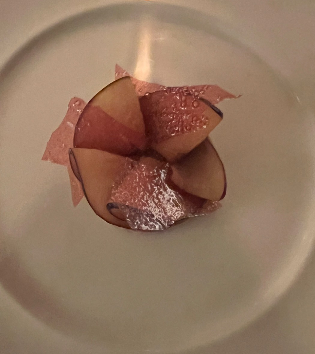 IMG_1759.jpeg IMG_1759.jpeg