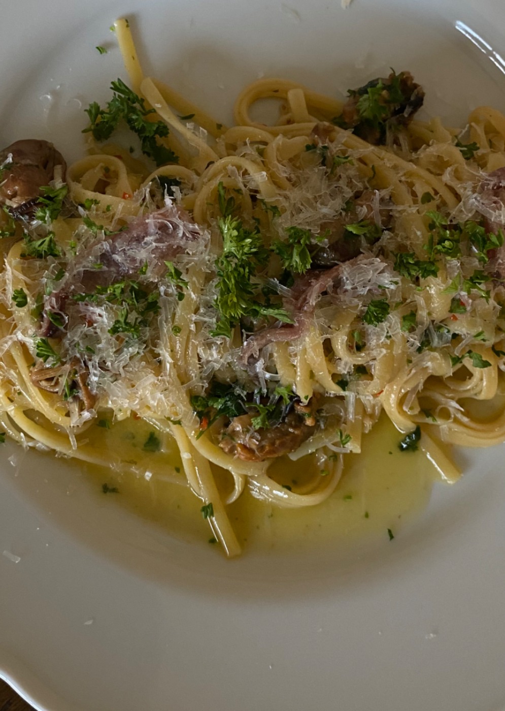 IMG_5955.jpeg IMG_5955.jpeg