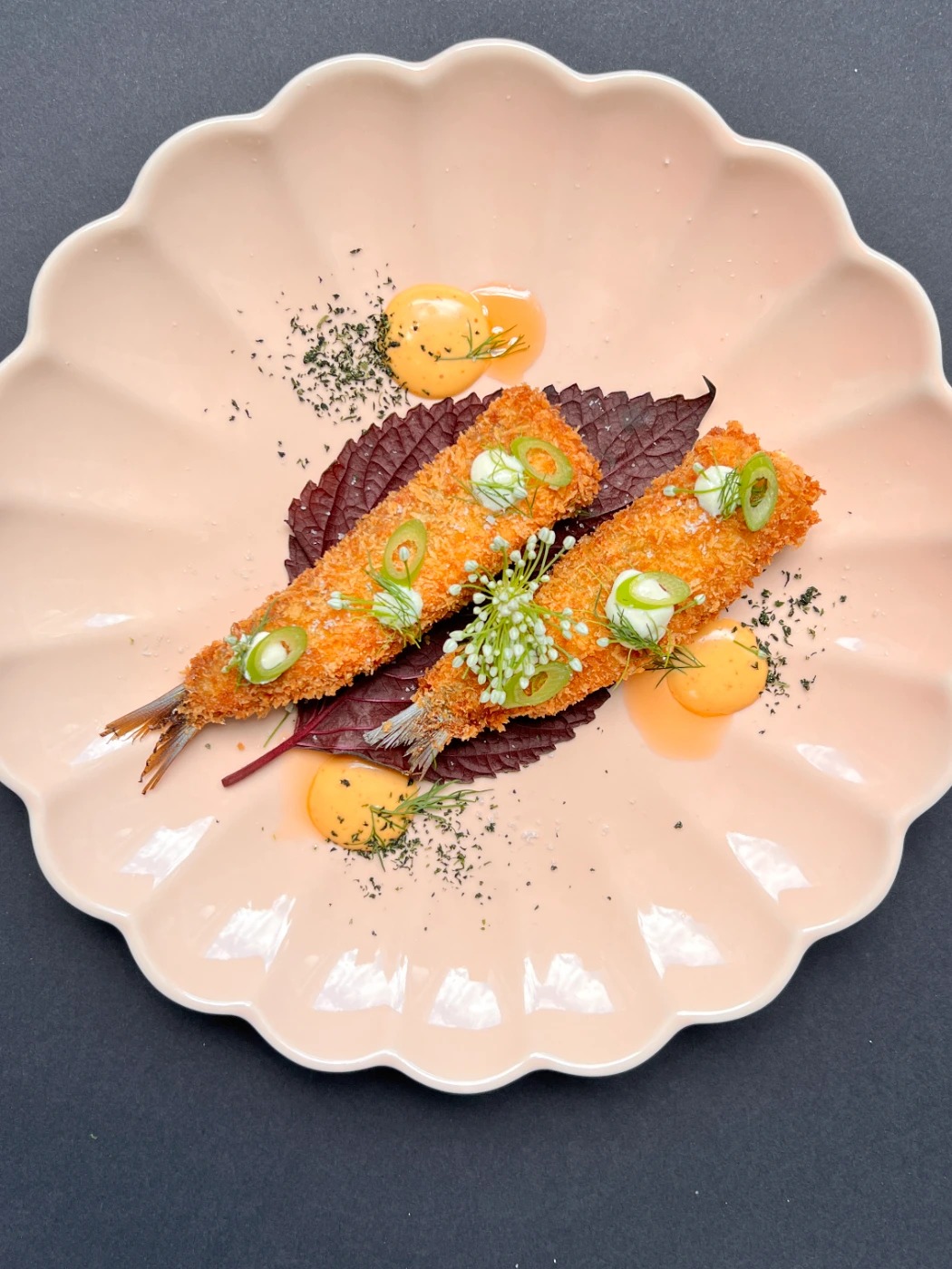 IMG_9973.JPG IMG_9973.JPG