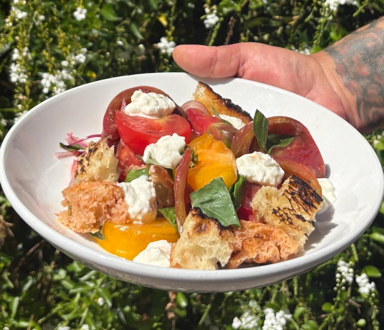 IMG_6577.jpg IMG_6577.jpg