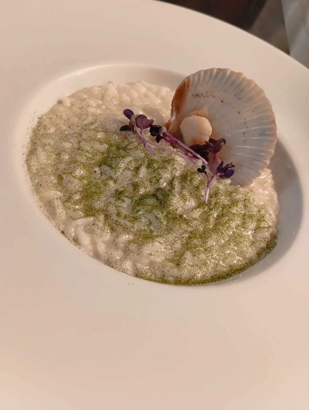 1000600800.jpg 1000600800.jpg