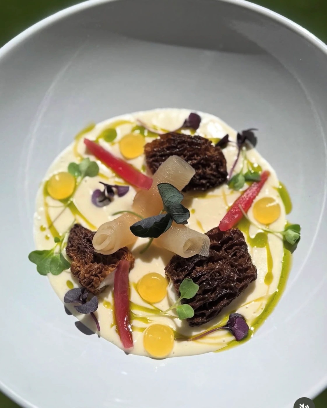 IMG_7346.jpg IMG_7346.jpg