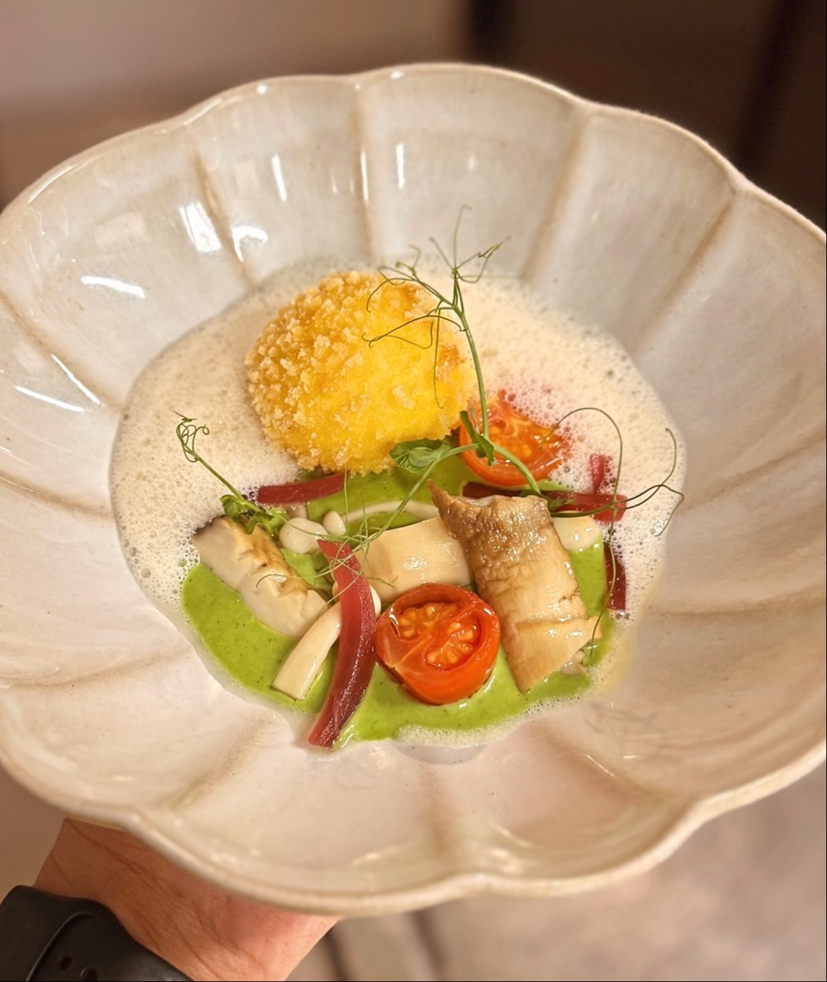 IMG_7343.jpeg IMG_7343.jpeg