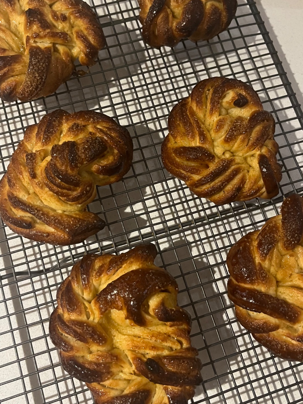 tempImageLzQZnP.jpg tempImageLzQZnP.jpg