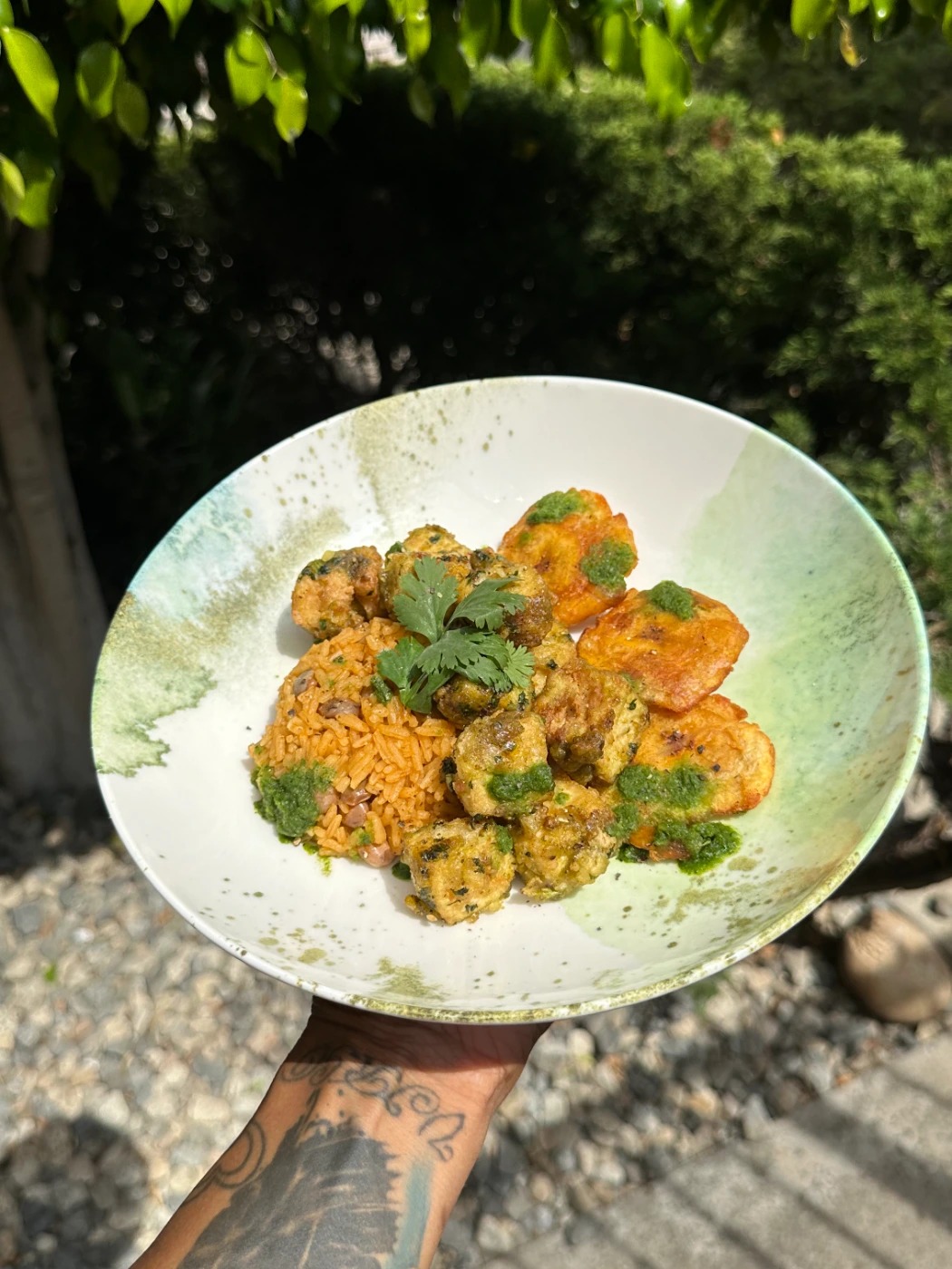 IMG_3527 (1).jpg IMG_3527 (1).jpg