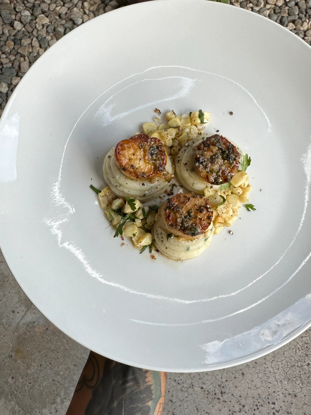 IMG_2754.jpg IMG_2754.jpg