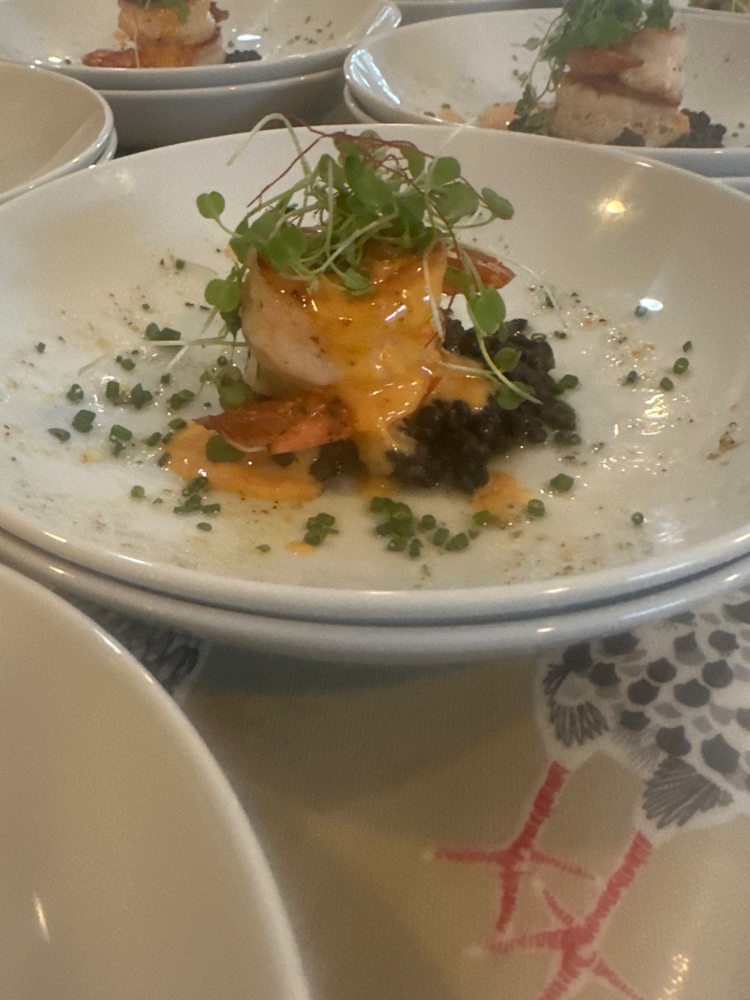 IMG_1678.jpeg IMG_1678.jpeg