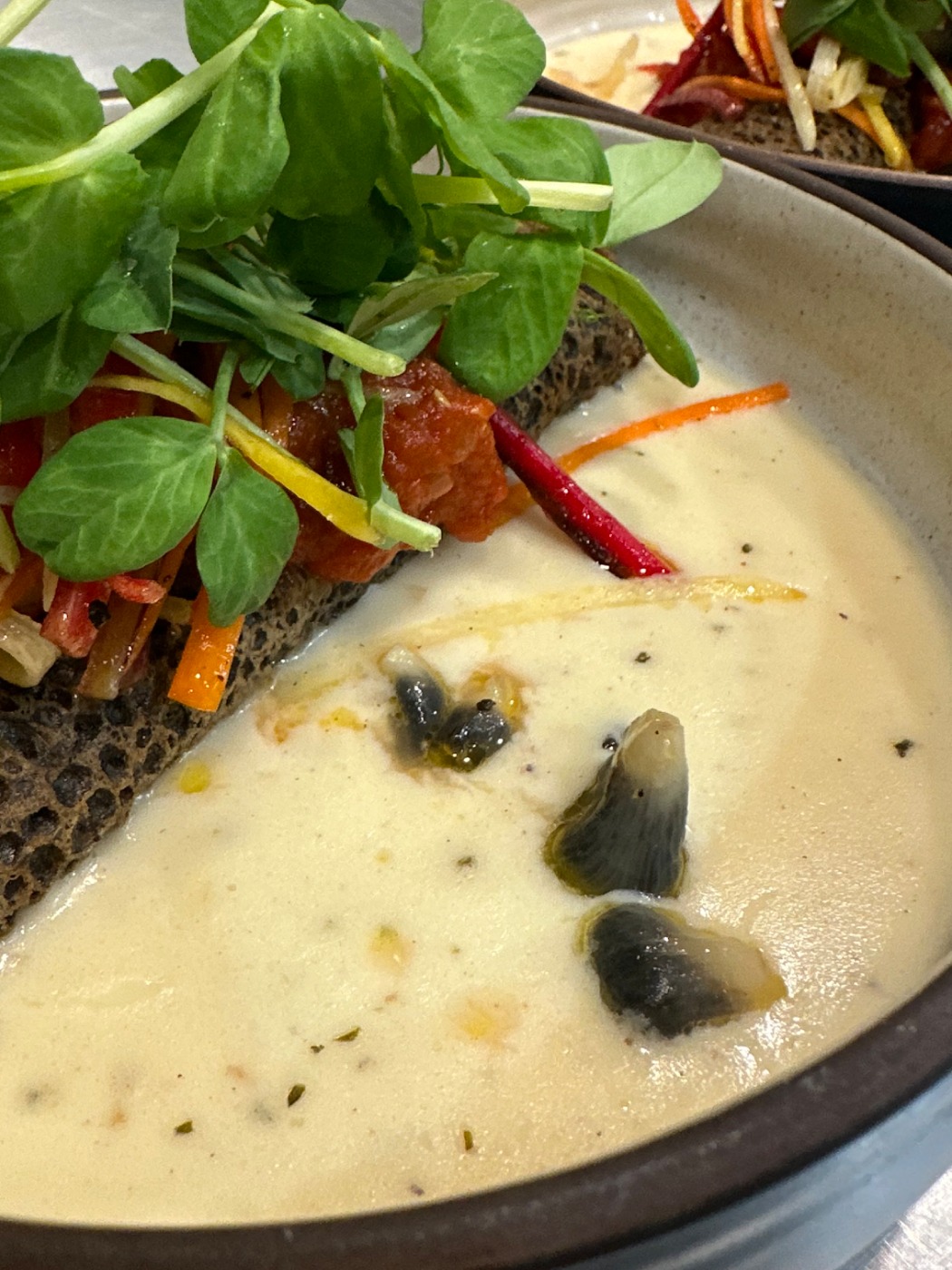 IMG_1518.jpeg IMG_1518.jpeg