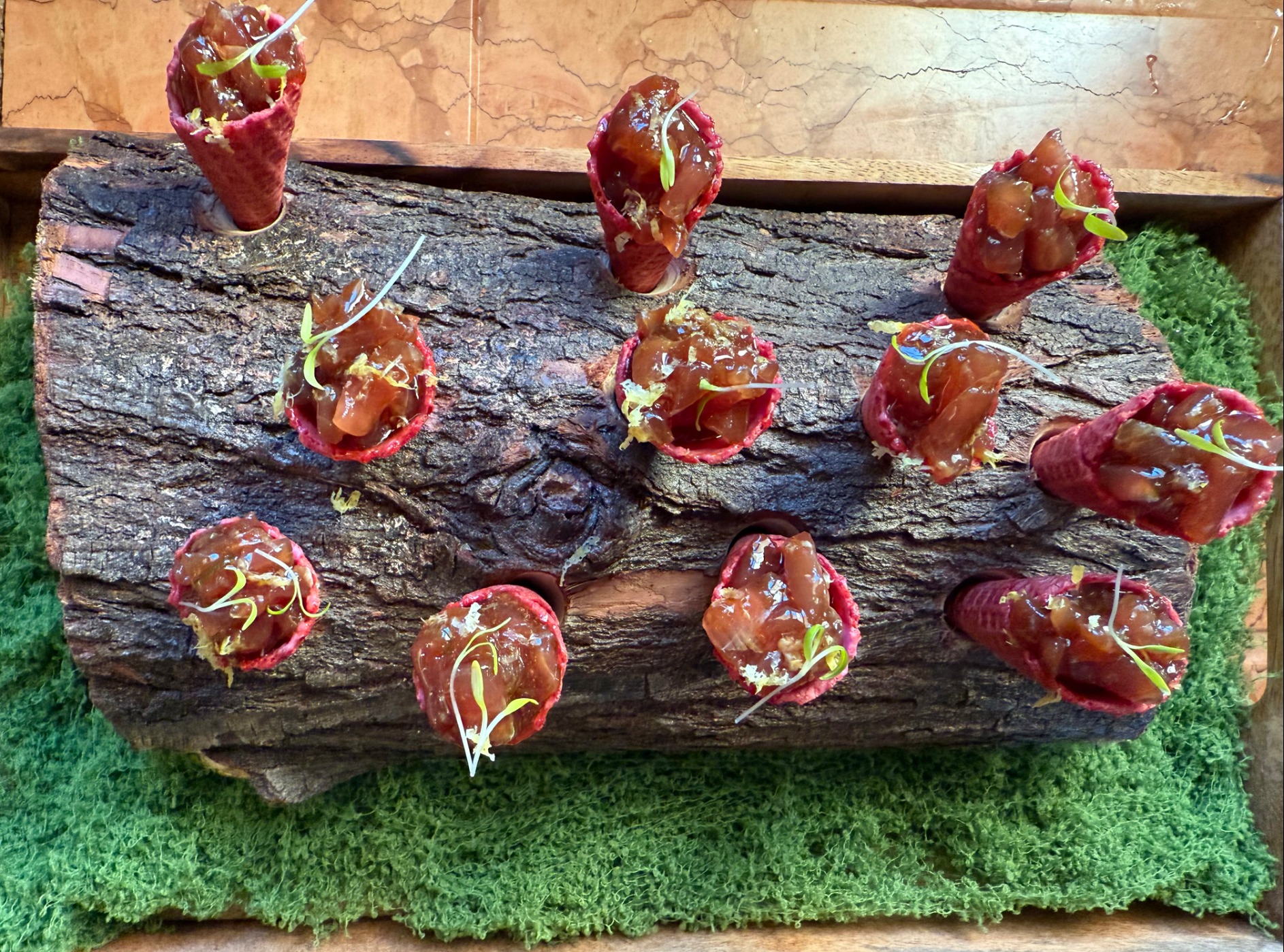 IMG_0341.jpeg IMG_0341.jpeg