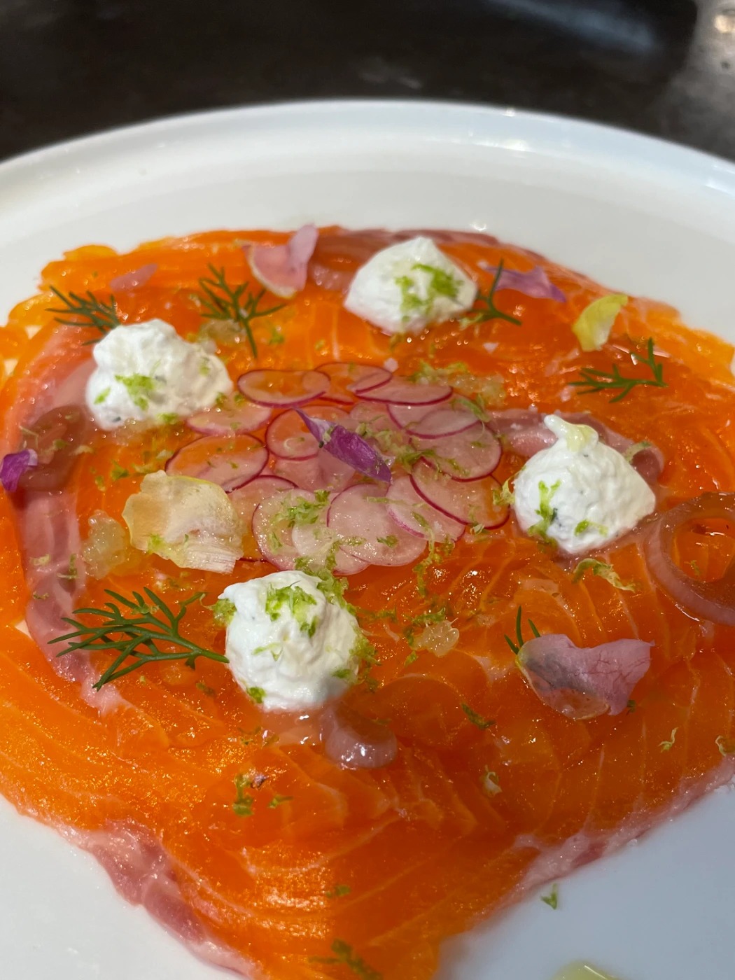 IMG_4501.jpg IMG_4501.jpg